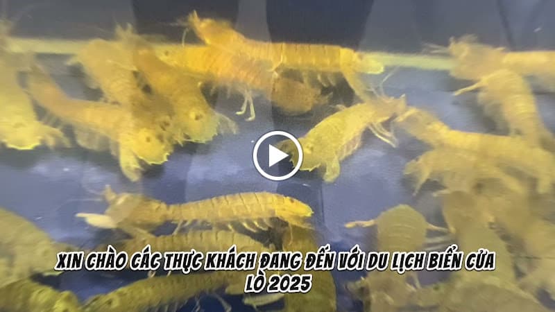 Hình ảnh Nhà Hàng Mộc Quán-Hải Sản Tươi Sống - 2
