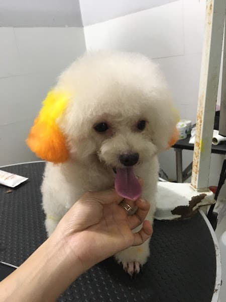 Hình ảnh Phòng Khám Thú Y Pet Health Centre Xuân Lộc - 2