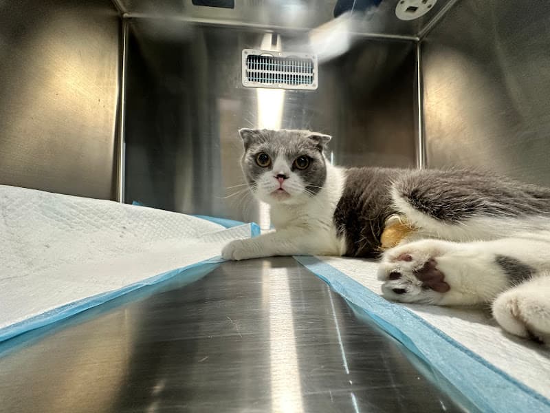 Ảnh bìa Phòng Khám Thú Y Ecovet