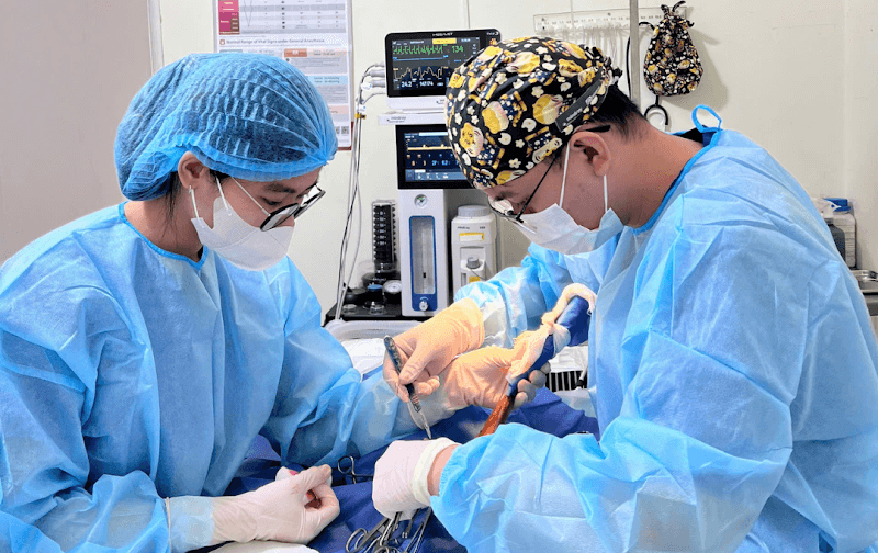 Hình ảnh Bệnh viện thú y EraVet - 7