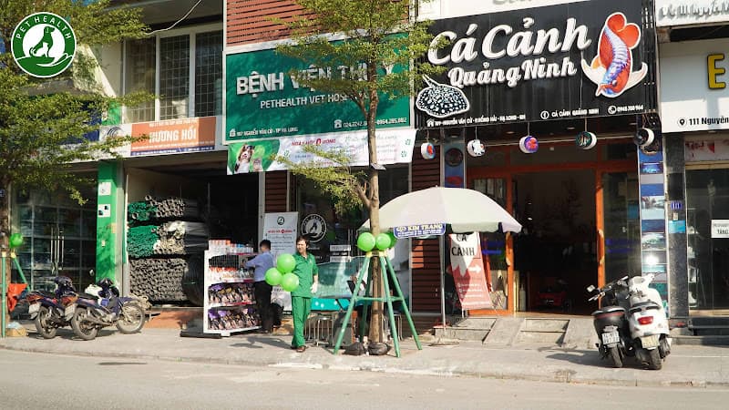 Hình ảnh Bệnh viện thú y Pethealth Hạ Long - 3