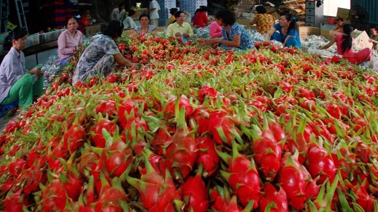Chuyên Cung Cấp Sỉ & Lẻ Các Loại Trái Cây