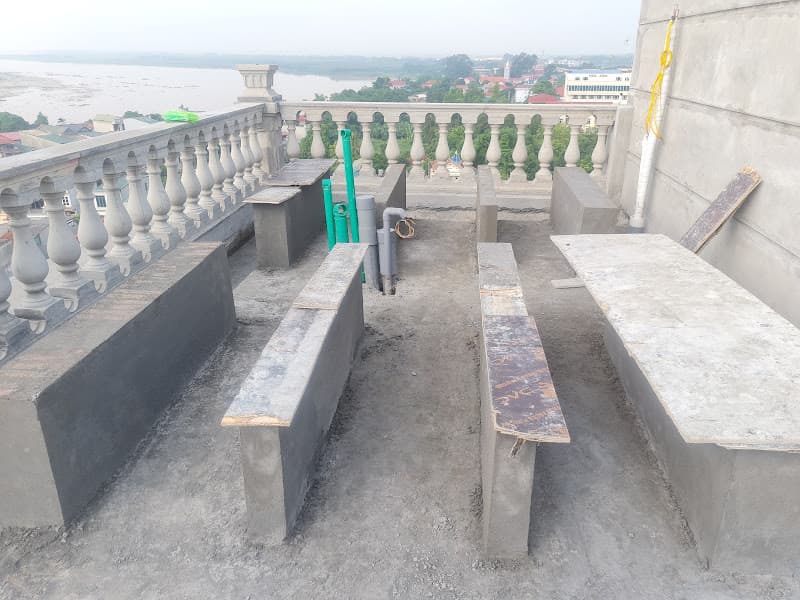 Hình ảnh Cây đa lịch sử thị xã Phú Thọ - 2