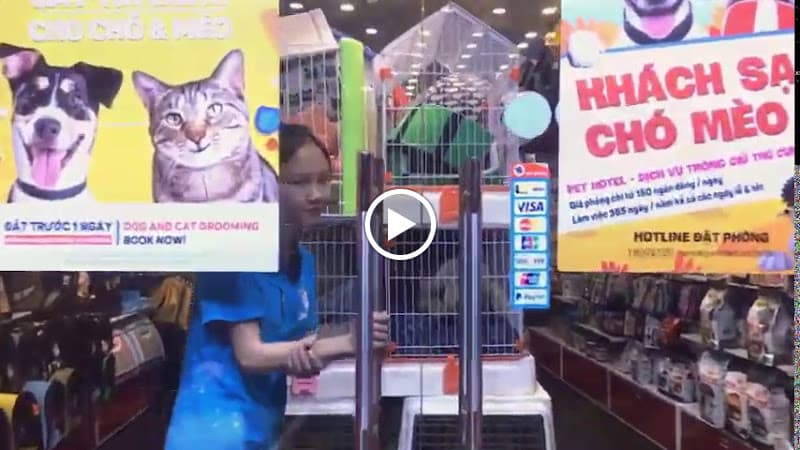 Hình ảnh Pet Mart Vĩnh Long - Cửa Hàng Thú Cưng - 3
