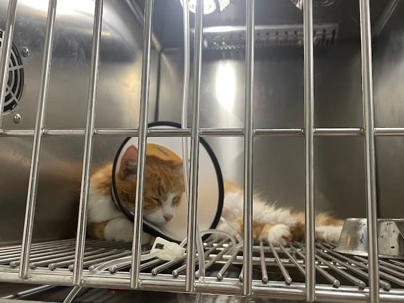 Phòng Khám Thú Y Ngọc Lâm