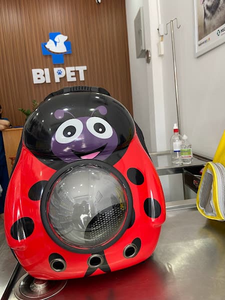Hình ảnh Bệnh Viện Thú Y Bi Pet - 4