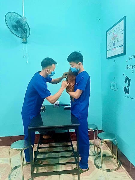 Hình ảnh Phòng Khám Thú Y Doraemonpet - 3