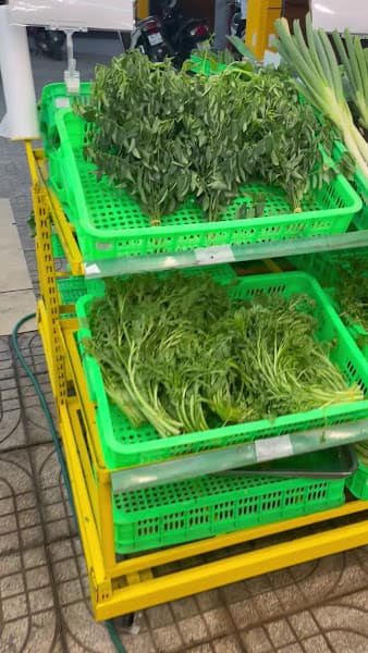 Hình ảnh Siêu thị Bách hoá XANH Dương Hiến Quyền - 3