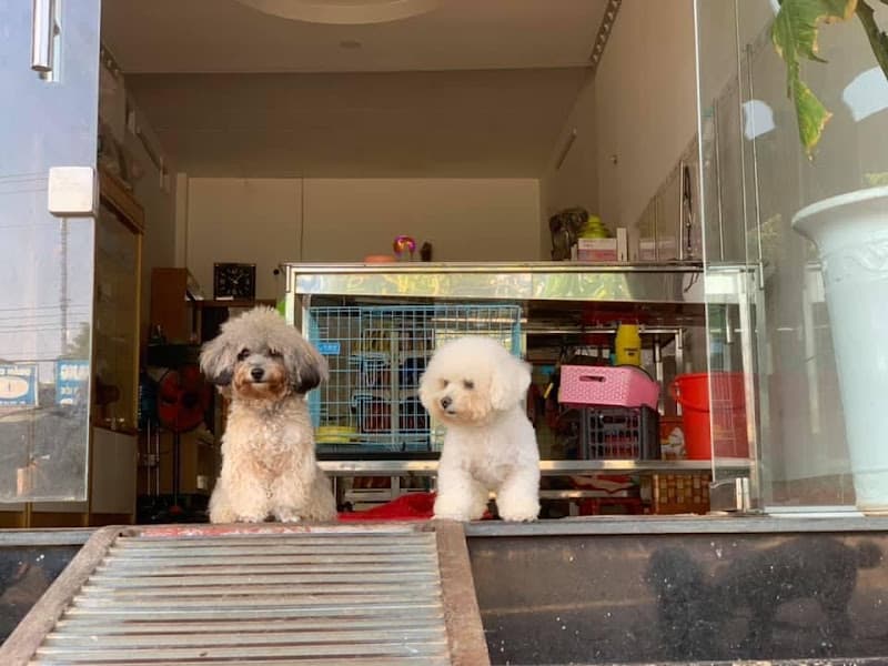 Hình ảnh Phòng Khám Thú Y Minh Tiến Châu Đức - 5