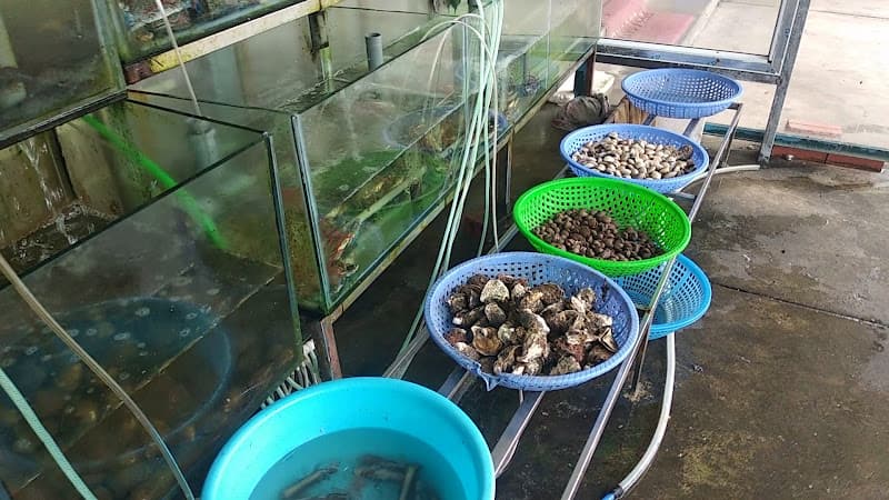Hình ảnh Hải Sản Vua - 4