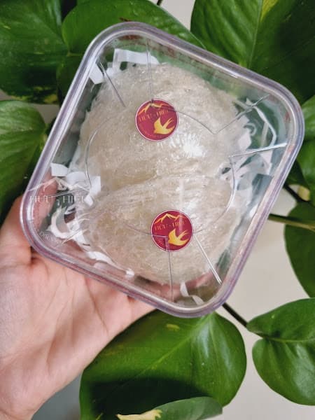 Hình ảnh YẾN SÀO - Hửu - Hiếu. - 3