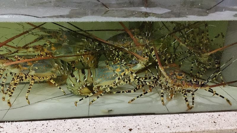 Hình ảnh Huyền Hải Sản 24 Dốc Tam Đa - 2