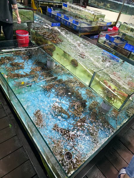 Hình ảnh Nhà hàng Cây Sung 176 võ nguyên giáp - 2