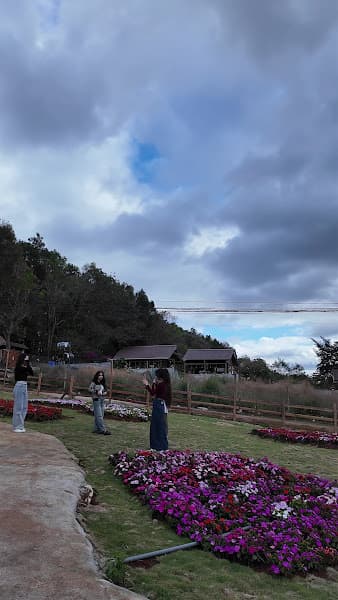 Hình ảnh XANHside cafe - 7