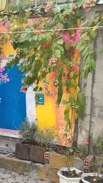 Hình ảnh Tiệm Cà Phê Gió Sông - 3