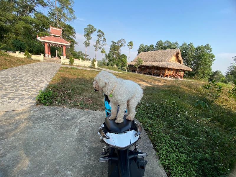 Hình ảnh Khu di tích lịch sử Cách mạng Lào tại thôn Ngòi - 2