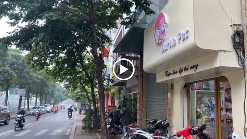 Hình ảnh Barbie Pet Thượng Đình - Cửa Hàng Thú Cưng - 3