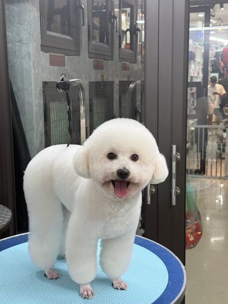 Ảnh bìa Pet Universe - Phụ Kiện & Spa Thú Cưng