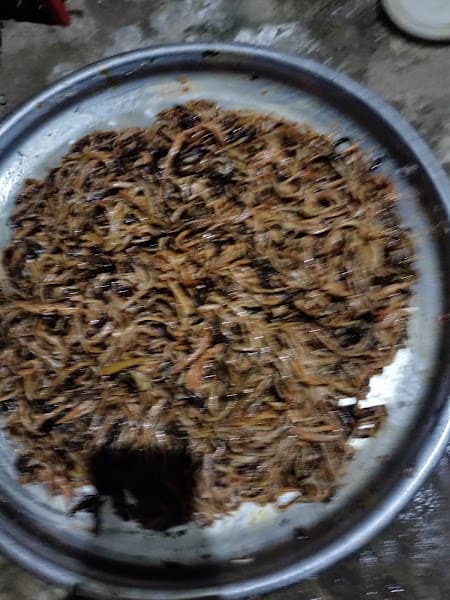 Hình ảnh Súp lươn xứ nghên MINH CHÂU - 10