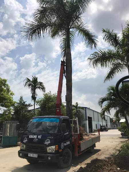 Hình ảnh Karaoke Số 9 - 3