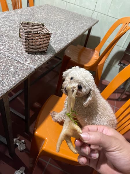 Hình ảnh Cháo lươn Trường Lệ - 2