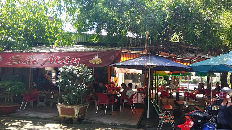 Ảnh bìa Cafe Sắc Màu