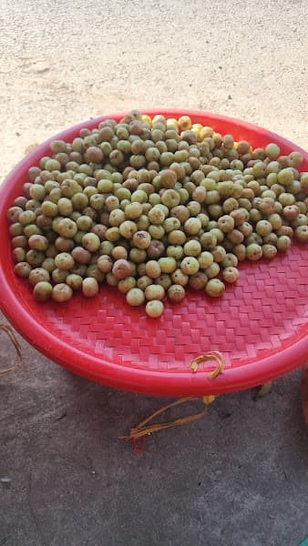 Hình ảnh Chợ ngã hai - 10