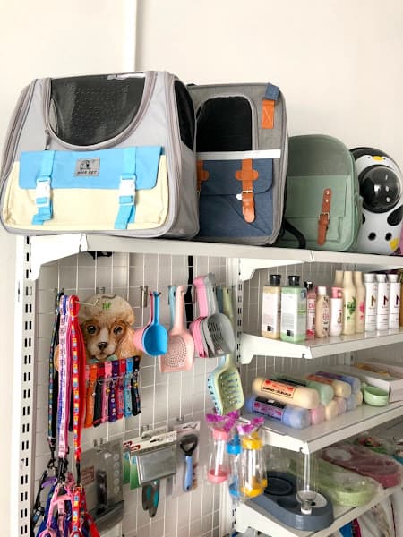 Hình ảnh CiCiPets - Tiệm làm đẹp thú cưng - 2