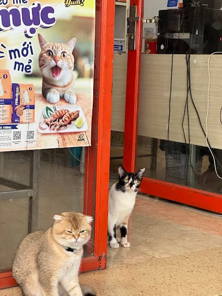 Ảnh bìa phòng khám thú y Liên Nghĩa - Đức Trọng