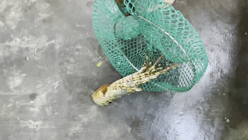 Hình ảnh Hải Sản Bờ Kè Cầu Mới 2 - KakaoID : boke - 3