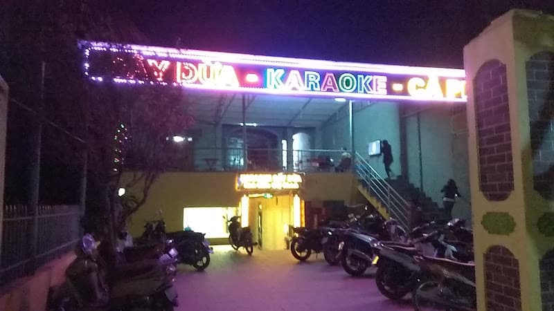 Hình ảnh Karaoke Cây Dừa - 3