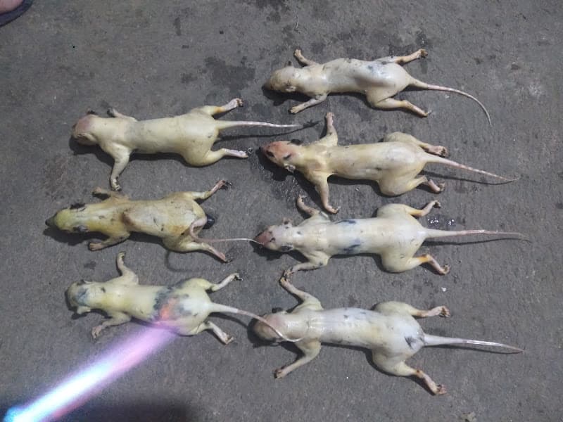 Hình ảnh Quán Ăn VỤ BÉO - 6