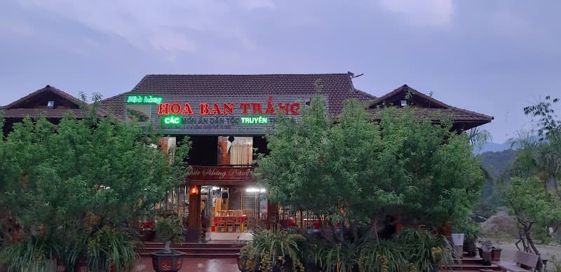 Ảnh bìa Nhà hàng Hoa Ban Trắng