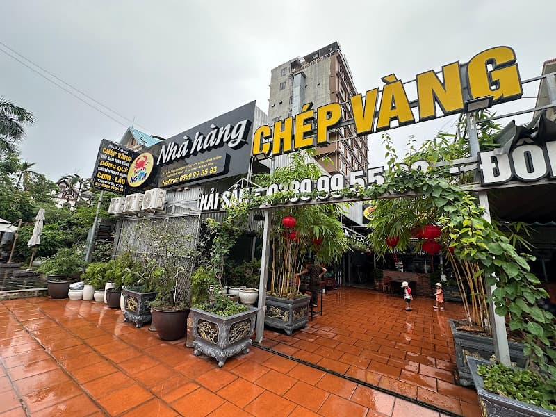 Ảnh bìa Nhà Hàng Chép Vàng