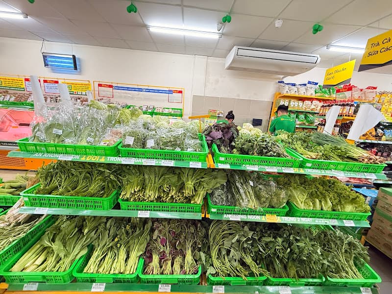 Hình ảnh Bách Hoá Xanh Kim Đông - 5