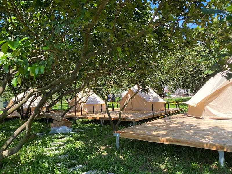 Hình ảnh Hoa Chuông Glamping - 5