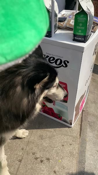 Hình ảnh CutePets - Pet shop & Grooming Đống Đa - 2