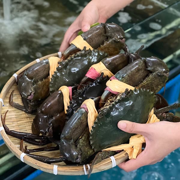 Hình ảnh HỆ THỐNG VỰA HẢI SẢN LỘC - CN VĨNH LONG - 4