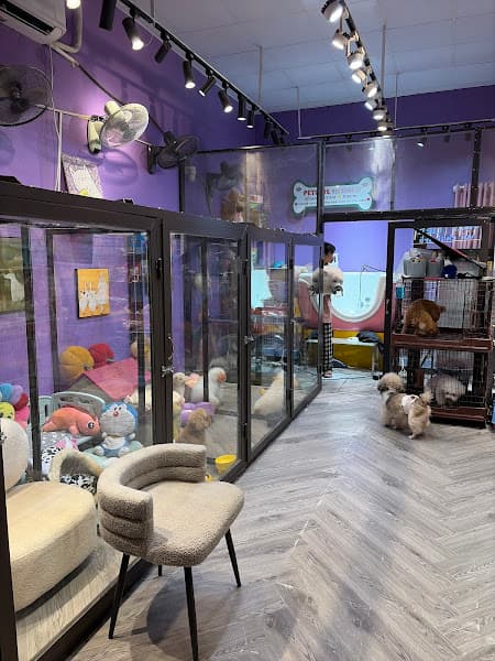 Hình ảnh PET LOVE Nguyễn Trãi - 2