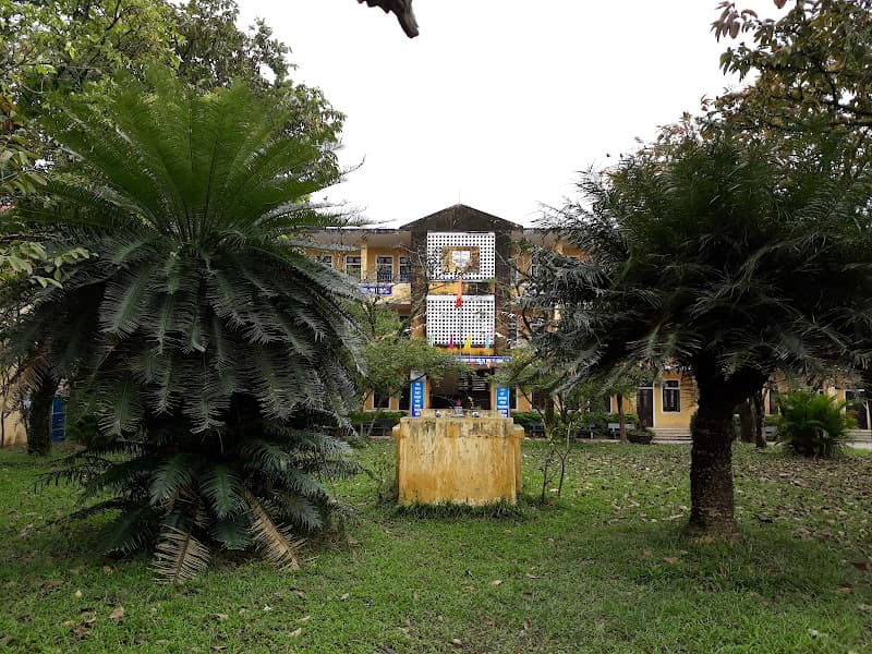 Hình ảnh Đàn Sơn Xuyên - 3