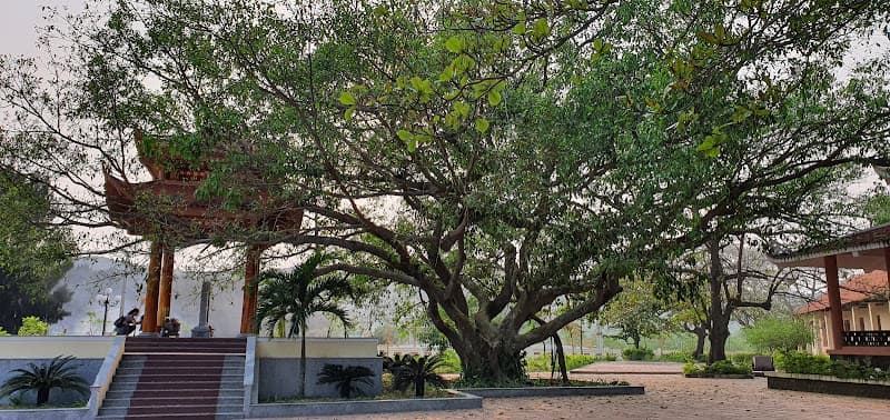 Hình ảnh Khu Di tích Lưu niệm Bác Hồ - 2