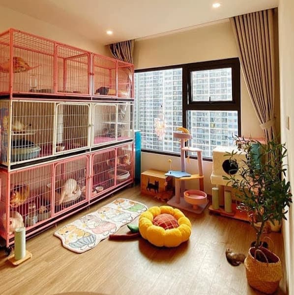 Shop bán Chó - Mèo Rạch Giá - Kiên Giang - Duy Hoàng