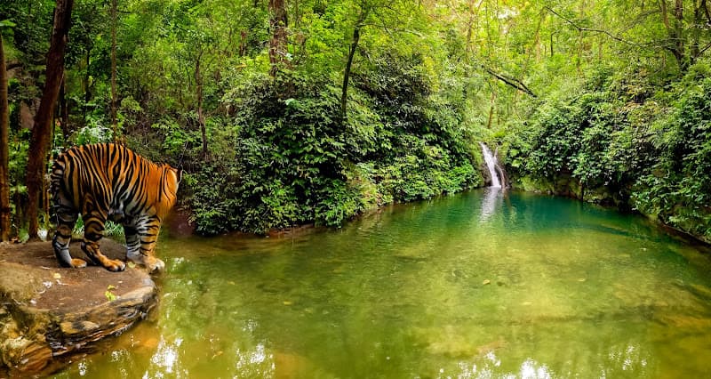 Hình ảnh Vườn Quốc gia Vũ Quang - 3