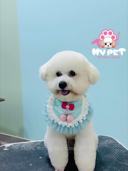 Hình ảnh Thiên Đường Thú Cưng - My Pet - 4