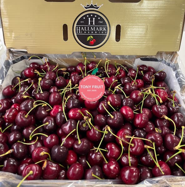 Hình ảnh Tony Fruit - Trung Tâm Phân Phối TP.HCM - 6