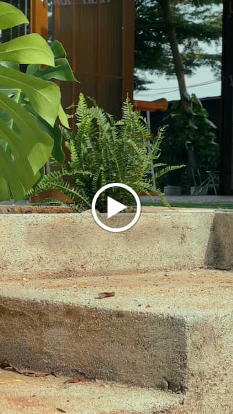 Hình ảnh Trang Trại Aeroco Coffee - 2