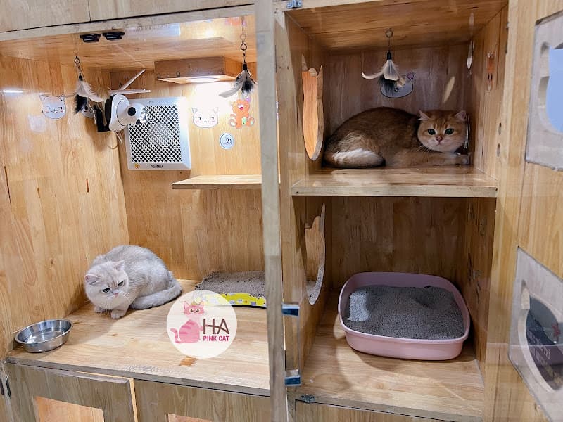 Hình ảnh Pate Tươi Sạch Chó Mèo BMT - 4