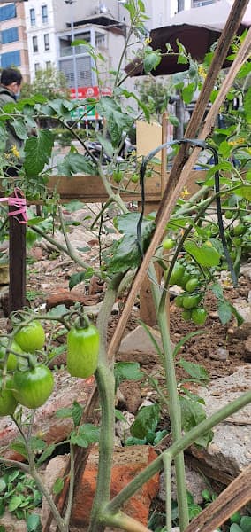 Hình ảnh Bida Bao Binh - 2