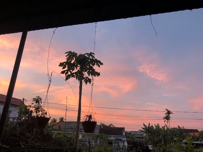 Hình ảnh Bánh Xèo Tín - 4