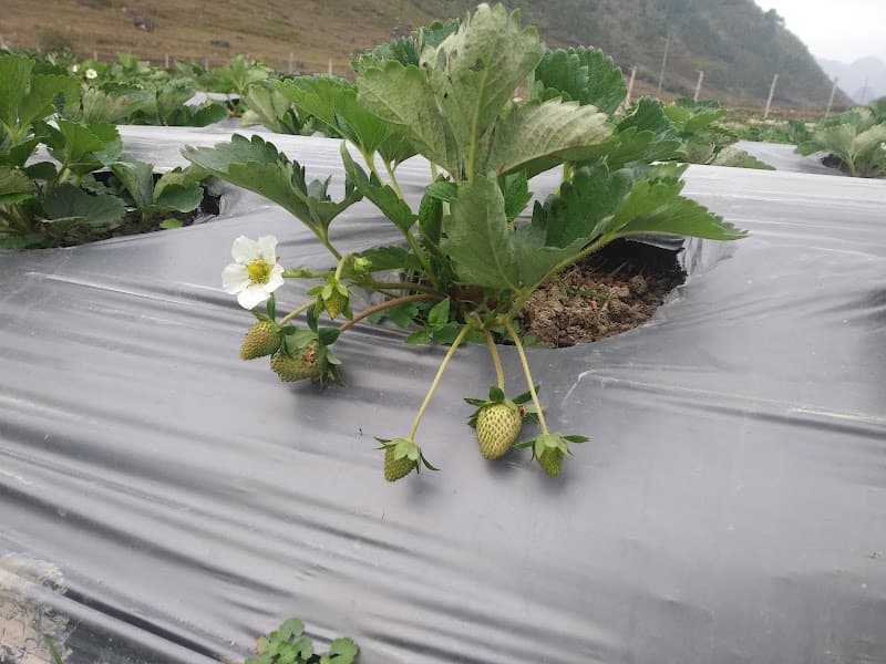 Hình ảnh Đoài Dương Quán - 5